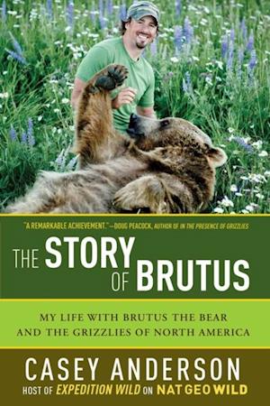 Story of Brutus