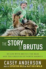 Story of Brutus