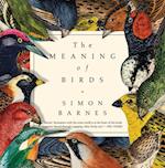 Meaning of Birds