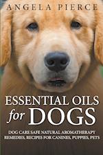 Essential Oils For Dogs