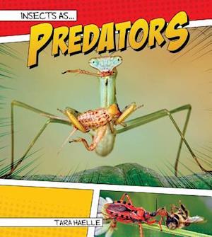 Insects as Predators