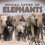 Social Lives of Elephants