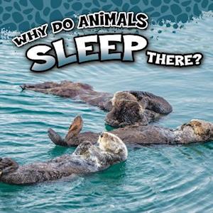 Why Do Animals Sleep There?