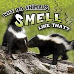 Why Do Animals Smell Like That?