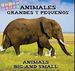 Animales grandes y pequenos