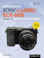 David Busch's Sony Alpha a6100/ILCE-6100 Guide to Digital Photography