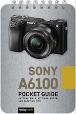 Sony a6100: Pocket Guide