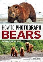 How to Photograph Bears