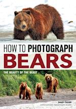 How to Photograph Bears