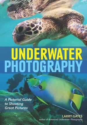 Underwater Photography