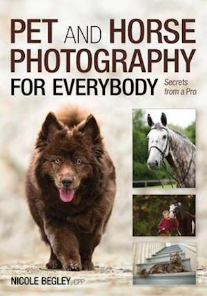 Pet and Horse Photography for Everybody
