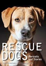 Rescue Dogs