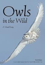 Owls in the Wild