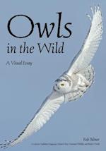 Owls In The Wild