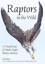 Raptors in the Wild