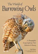 Burrowing Owls