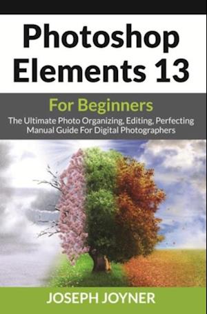 Photoshop Elements 13 For Beginners