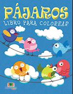 Pajaros Libro Para Colorear