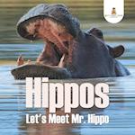 Hippos - Let's Meet Mr. Hippo