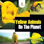 Yellow Animals On The Planet