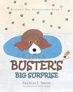 Buster's Big Surprise