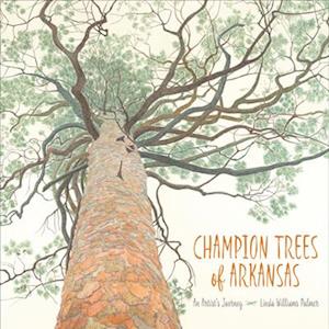 Champion Trees of Arkansas