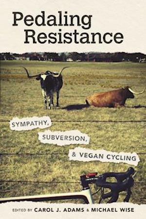 Pedaling Resistance