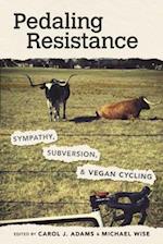 Pedaling Resistance