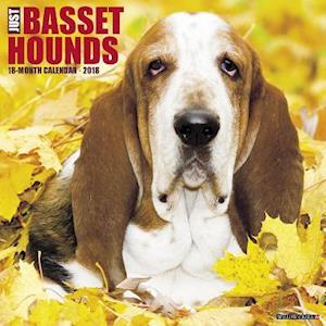 Just Basset Hounds 2018 Wall Calendar (Dog Breed Calendar)