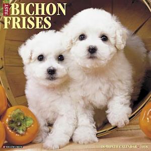 Just Bichons Frises 2018 Wall Calendar (Dog Breed Calendar)