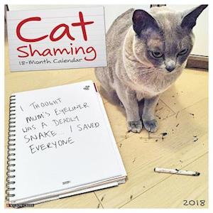 Cat Shaming 2018 Wall Calendar
