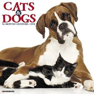 Cats & Dogs 2018 Wall Calendar