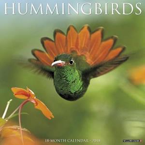Hummingbirds 2018 Wall Calendar