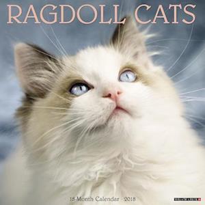 Ragdoll Cats 2018 Wall Calendar