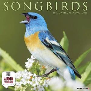 Songbirds 2018 Wall Calendar