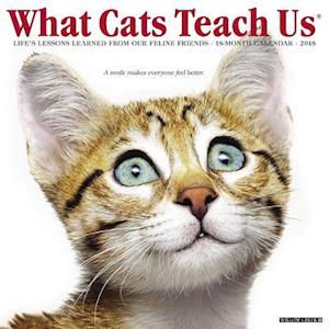 What Cats Teach Us 2018 Wall Calendar