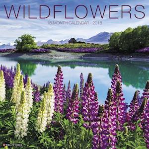 Wildflowers 2018 Wall Calendar