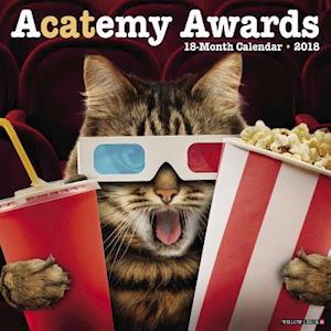 Acatemy Awards 2018 Wall Calendar