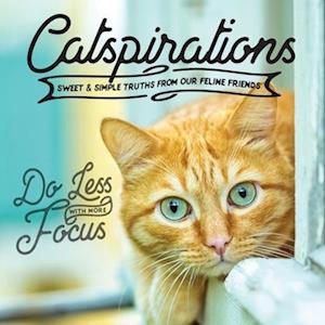 Catspirations