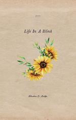 Life In a Blink 