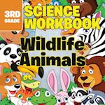 3rd Grade Science Workbooks
