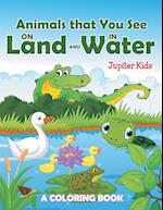 Animals that You See on Land and in Water (A Coloring Book)