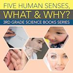 Five Human Senses, What & Why?