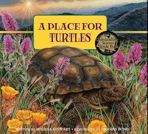 A Place for Turtles