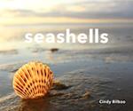 Seashells