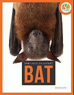 Spotlight on Nature: Bat