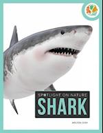 Spotlight on Nature: Shark