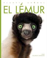 El Lémur