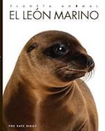 El León Marino