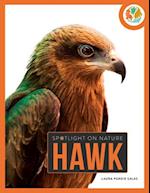 Hawk